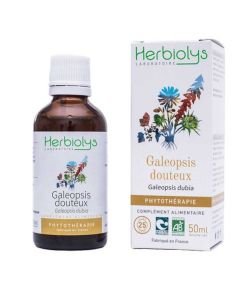 Galeopsis douteux - Extrait de plante fraiche 50mL BIO, 50 ml